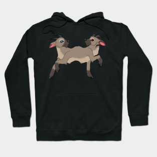 Goat Twins Hoodie